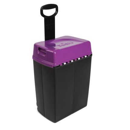 Purple and Black